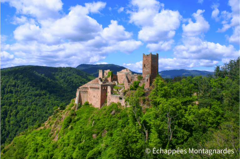 Château de Saint-Ulrich - Ribeauvillé, traversée des Vosges