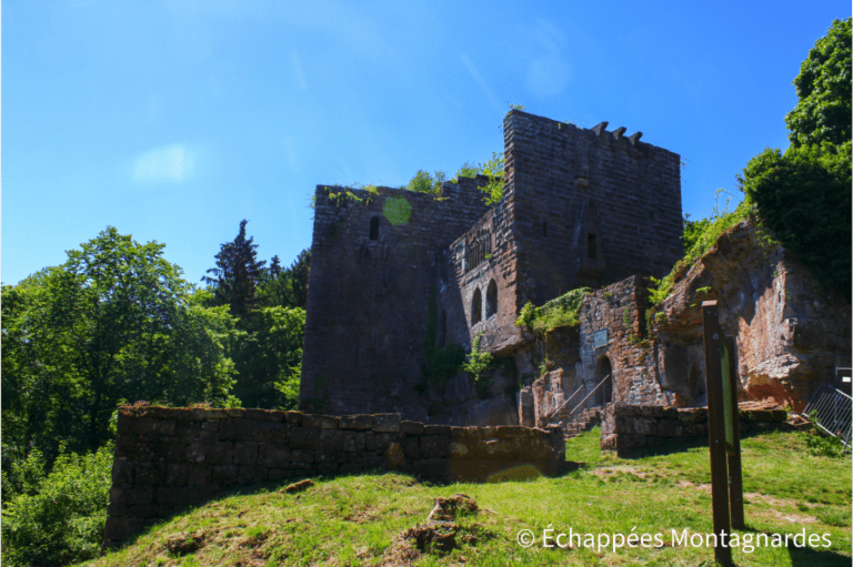 château de la Wasenbourg