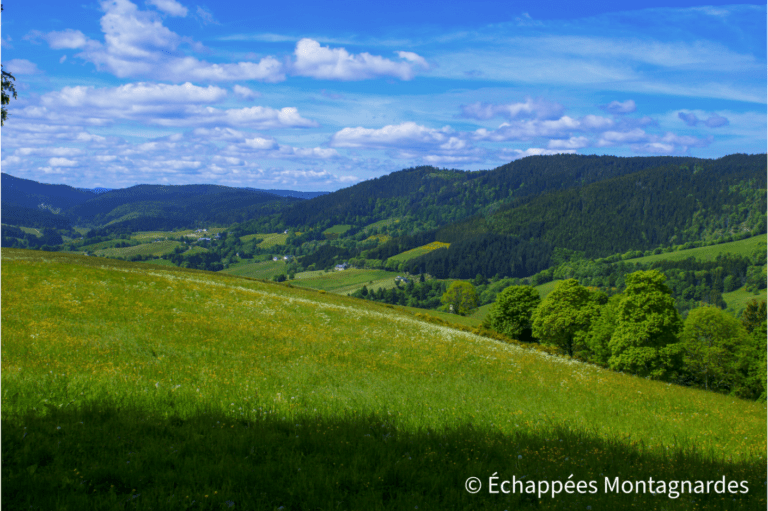 Col des Bagenelles - Haut-Rhin - traversée des Vosges