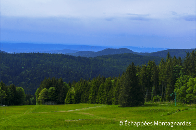 Paysages dans le secteur de la station du Lac Blanc (col du Calvaire)