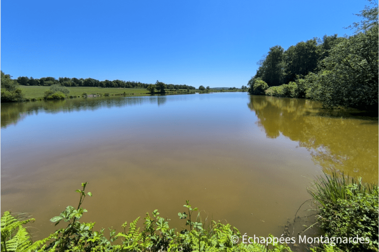 Les étangs du Territoire de Belfort - ici l'étang d'Avau