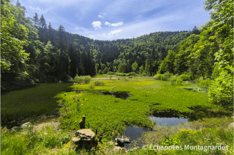 Étang du Devin traversée des Vosges