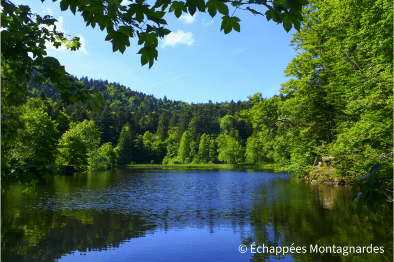 Étang du Petit Haut : une halte magnifique sur la traversée des Vosges