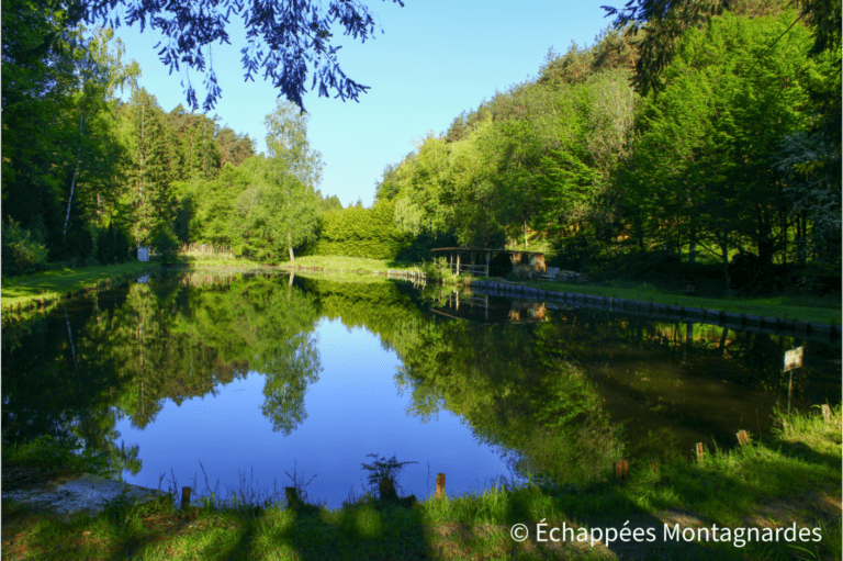 étang Klein traversée des Vosges