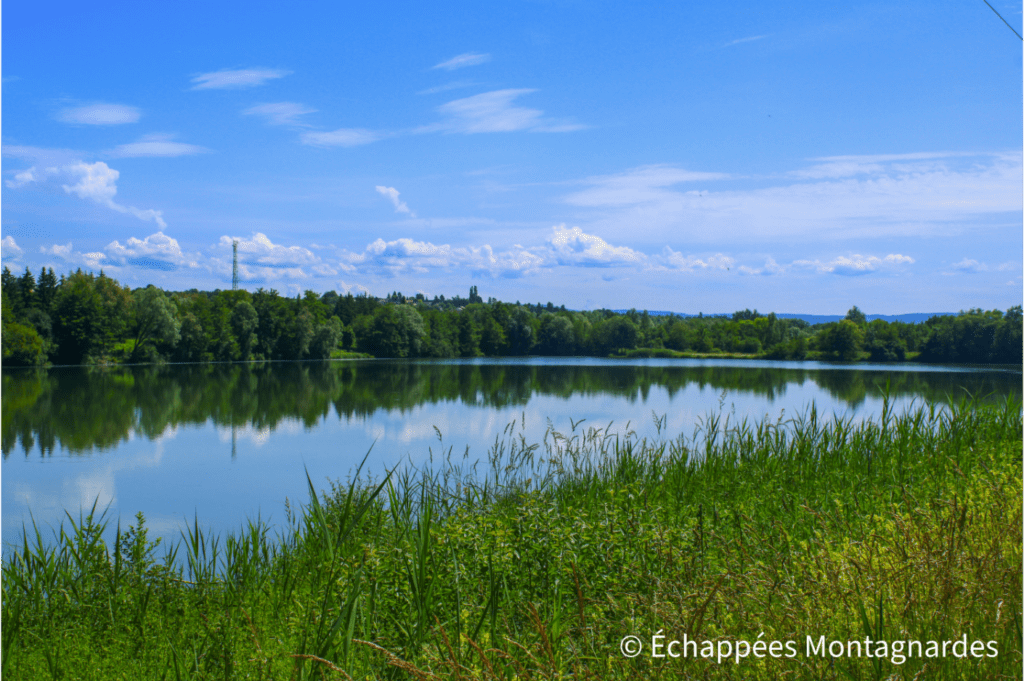 Le GR®5 longe les multiples étangs de Châtenois-les-Forges - gr5