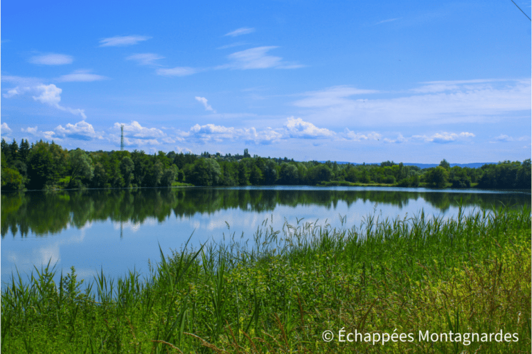 Le GR®5 longe les multiples étangs de Châtenois-les-Forges - gr5