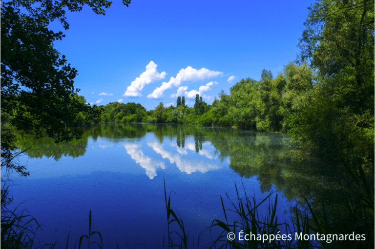 Belle pause au bord des étangs de Châtenois-les-Forges - gr5
