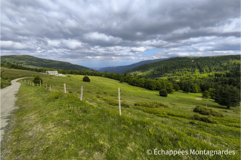 Vue vers le Grand Ballon depuis la ferme auberge Steinlebach