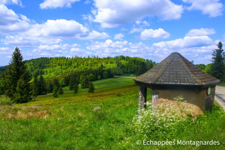 Champ du Messin fontaine Bechstein