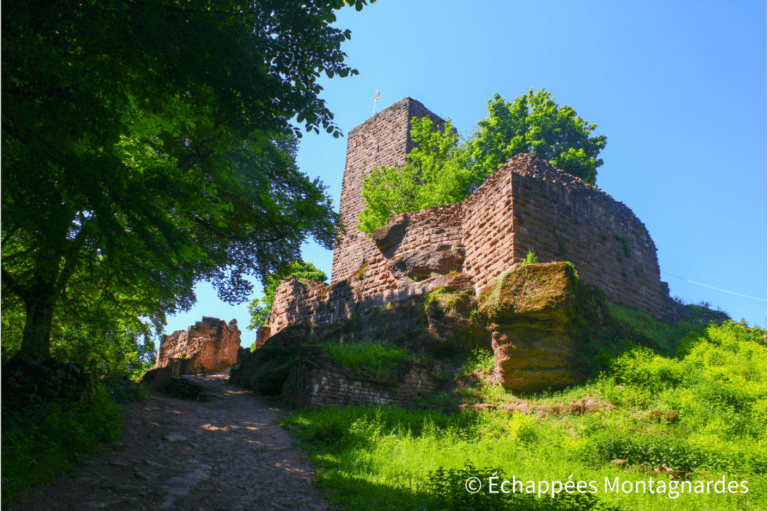 Château du Grand-Geroldseck gr53