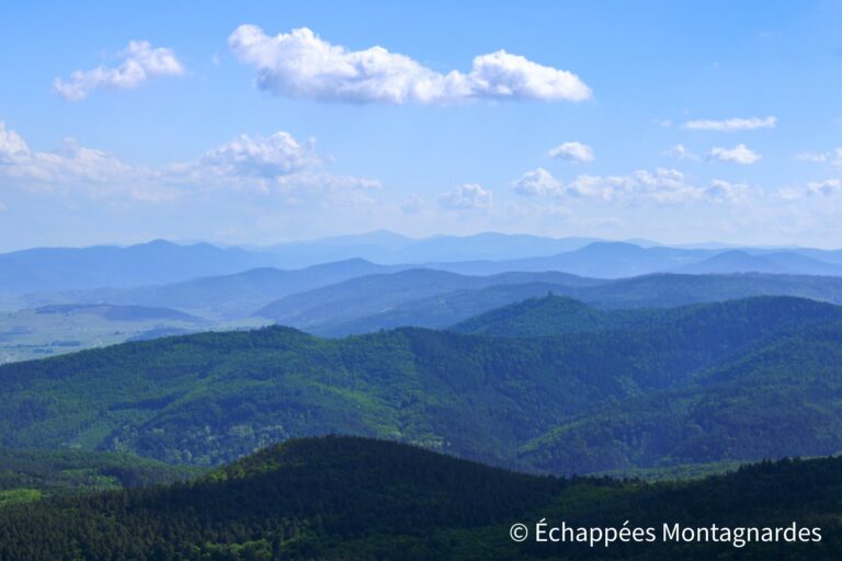 Panorama château Haut-Koenigsbourg