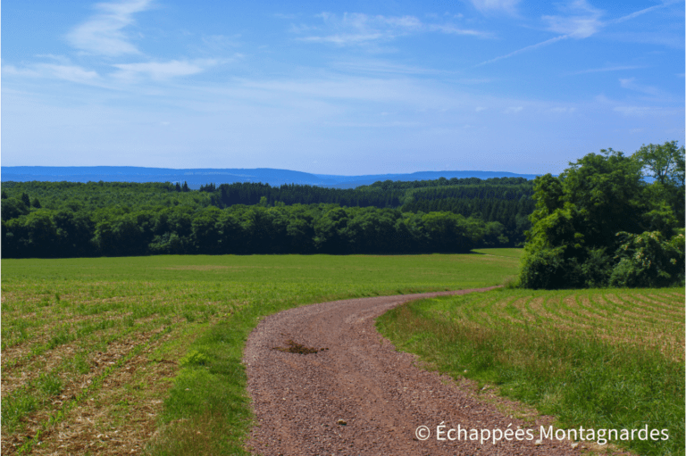 Les paysages de Haute-Saône, traversés durant quelques kilomètres par le GR®5