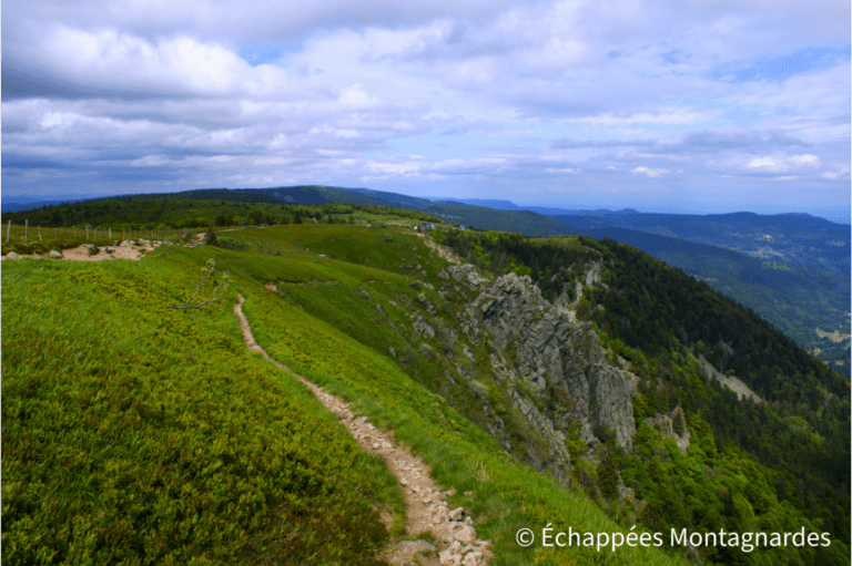 Paysage Hohneck GR5 traversée Vosges