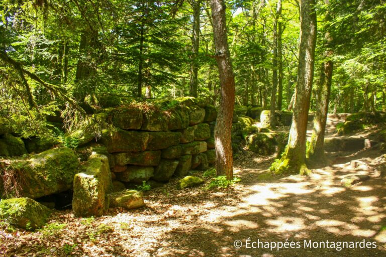 mur païen du Mont Sainte-Odile