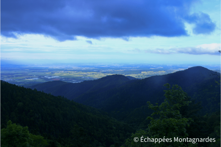 panorama Molkenrain plaine d'Alsace