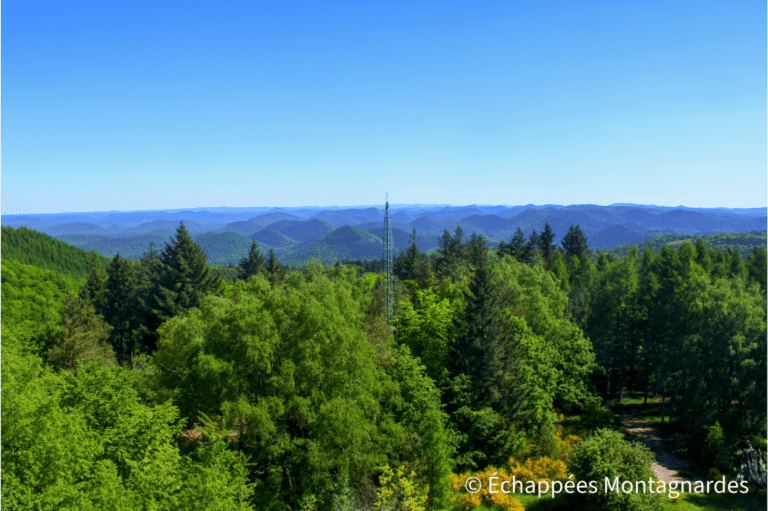 grand wintersberg panorama forêts Vosges
