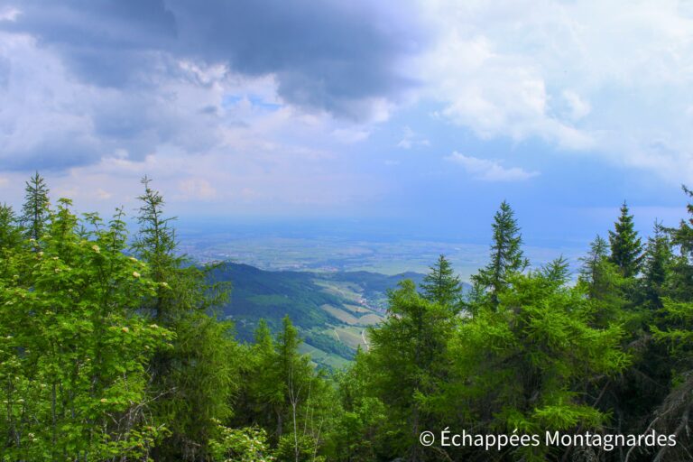 tour Héring plaine d'Alsace