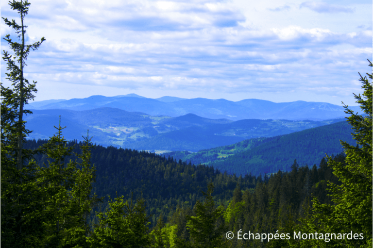 Vue sur les Vosges Petit Brézouard gr5