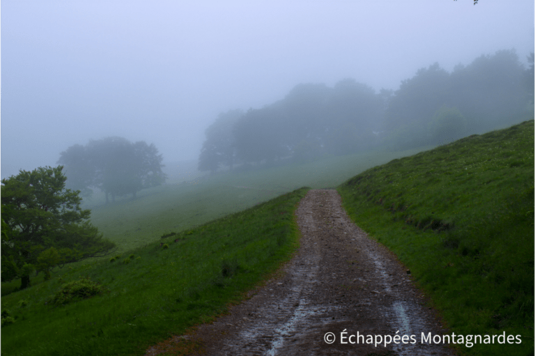 Fin d'étape dans le brouillard, entre le Thanner Hubel et le Rossberg