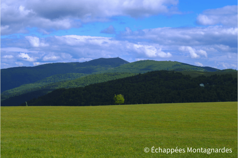 Grand Ballon depuis la route des crêtes