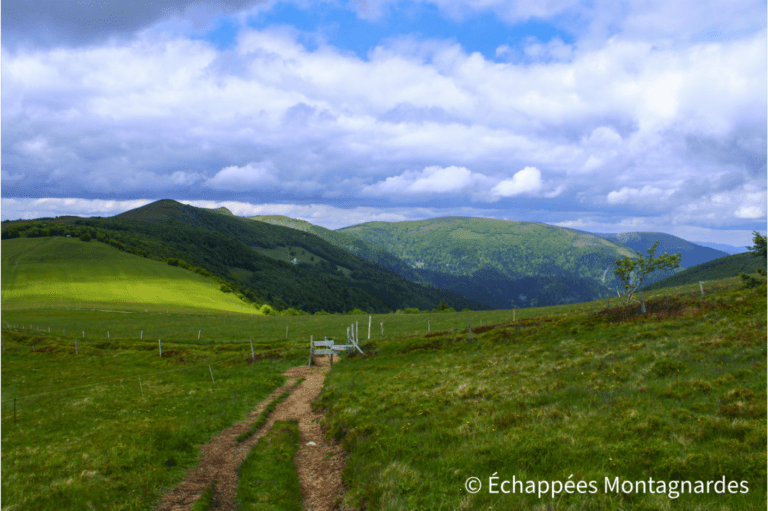 Près du Schweiselwasen sur la route des crêtes