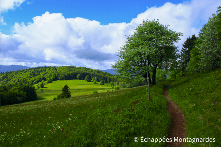 Parcours idyllique dans le secteur de Haute Bers, Vosges
