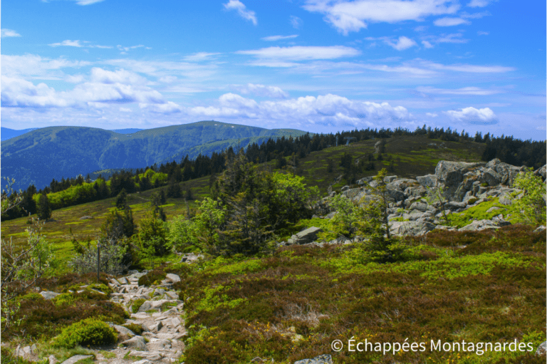 Hohneck vu depuis le Tanet - Vosges