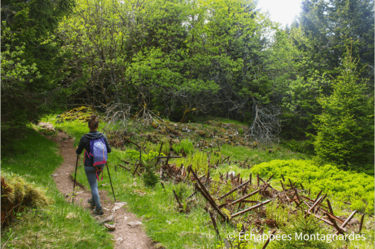Vestiges de la Grande Guerre - massif de la Tête des Faux, Vosges