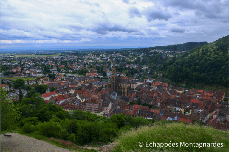Vue sur Thann depuis le château de l'Engelbourg