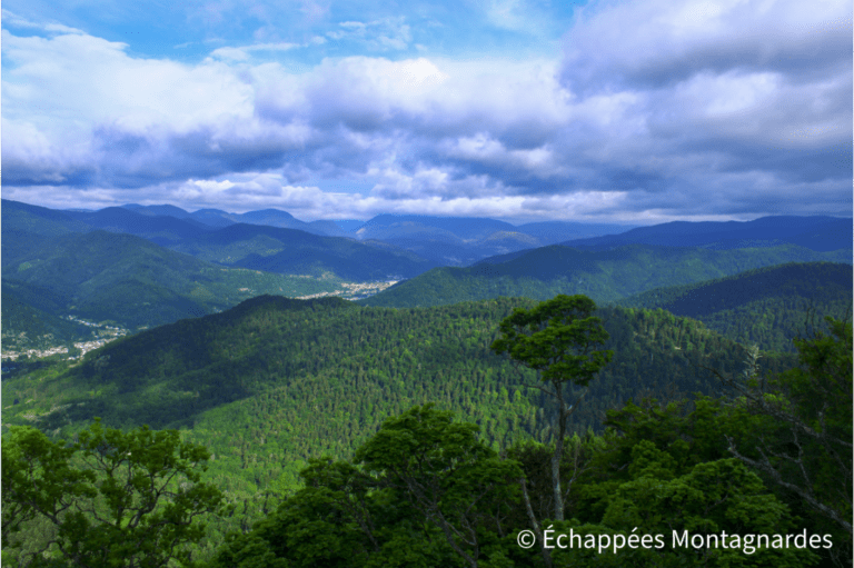 Etape 20 de la traversée des Vosges