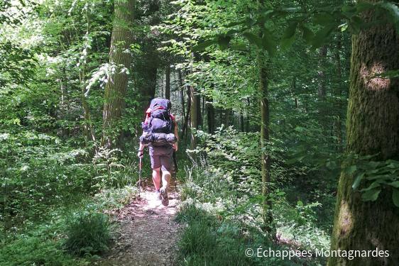 Lignes de la Lauter traversée des Vosges