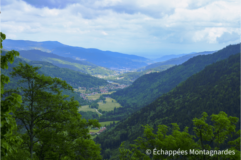 Vue sur la vallée de Munster