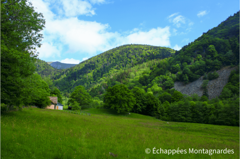 vallée de la Wormsa, descente vers Mittlach