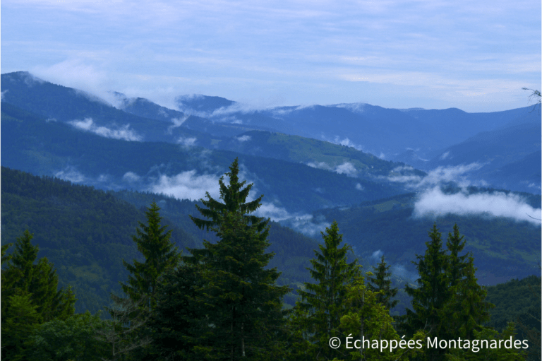 Matin dans les Vosges, sous la brume