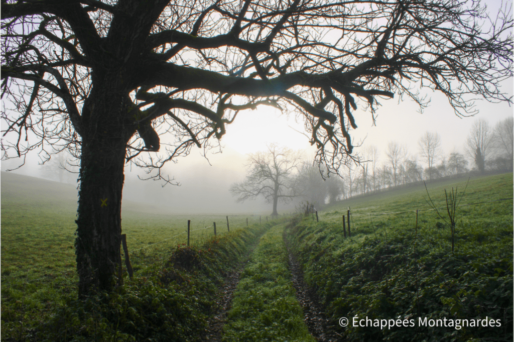 Belle ambiance hivernale dans la vallée de l'Arize