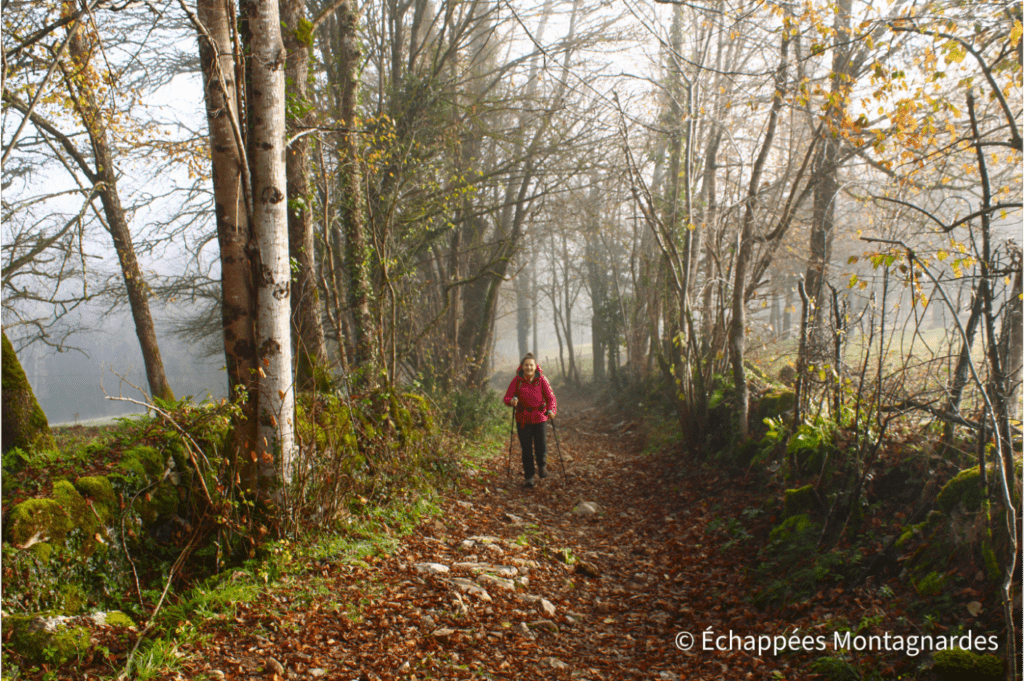Montée en direction de Montseron