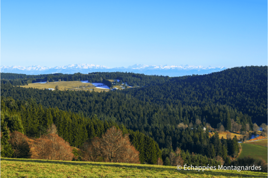 Vue sur les Alpes au sommet du crêt de Chaussitre