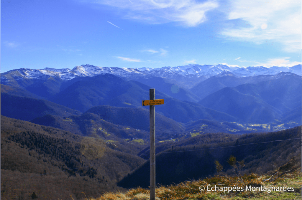 En suivant la crête, nous atteignons les Caussis puis le sommet du Cap de Campets (1502 m)