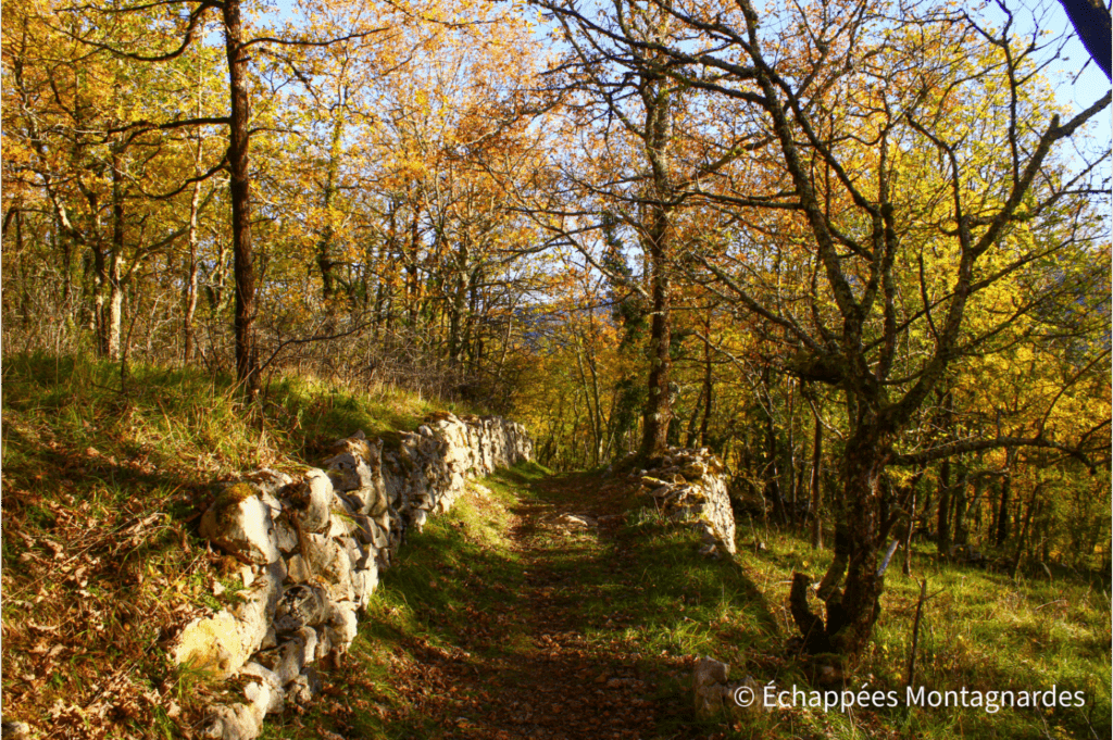 Encore un joli sentier ariégeois...