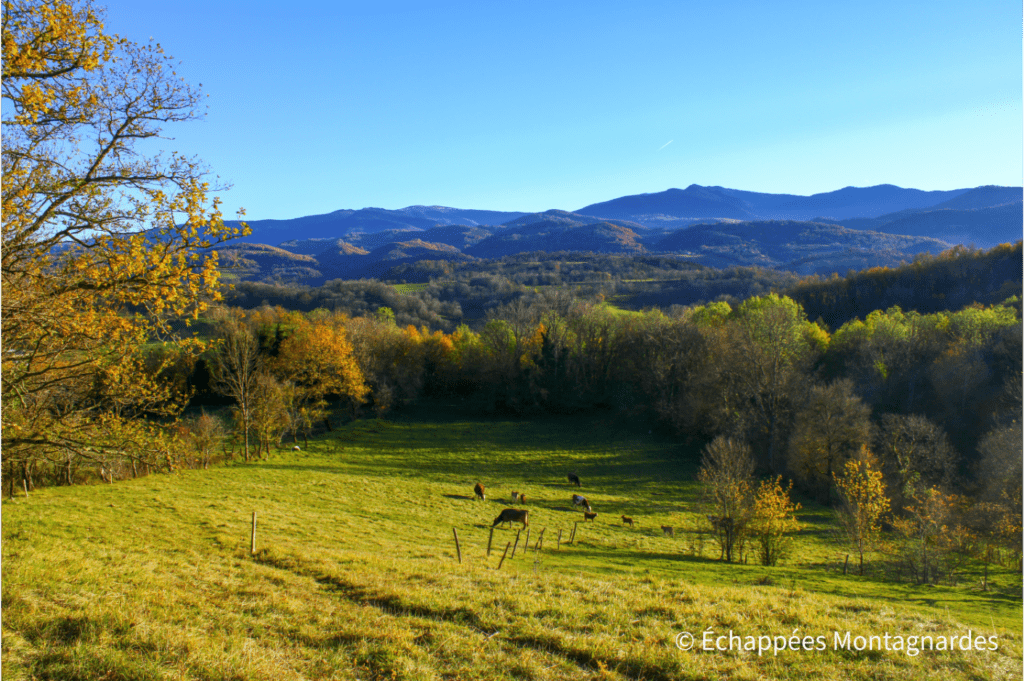 Les reliefs pré-pyrénéens, merveilleux terrain de jeu pour les randonneurs !