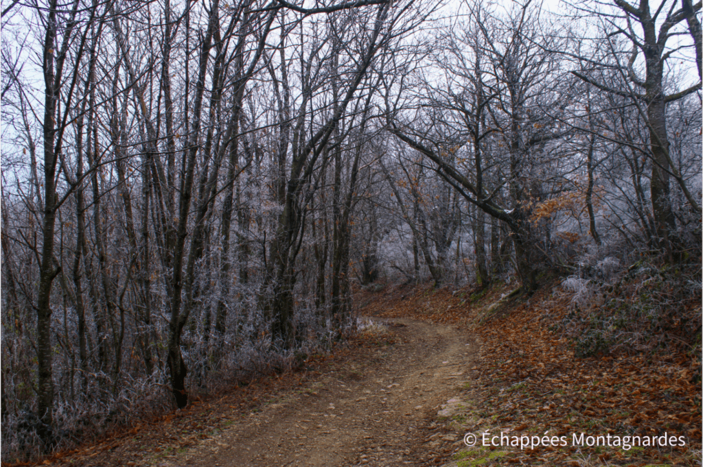 Randonnée croix de Marlin, Sainte-Croix-en-Jarez