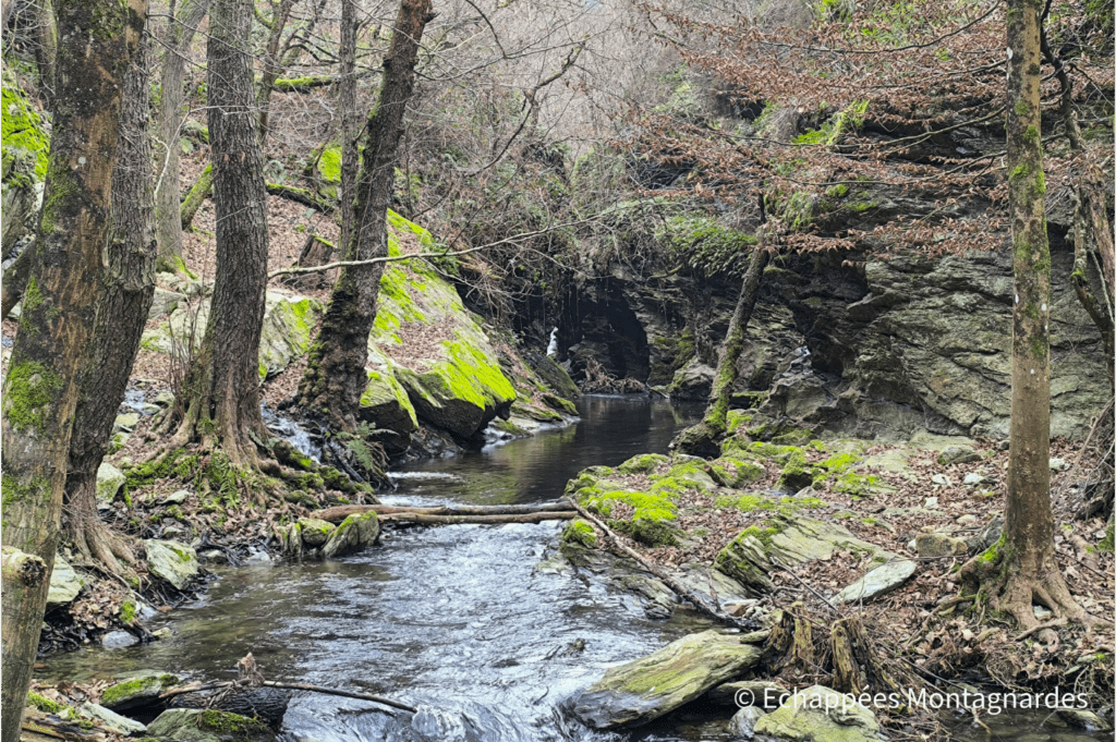 Gorges du Couzon, massif du Pilat