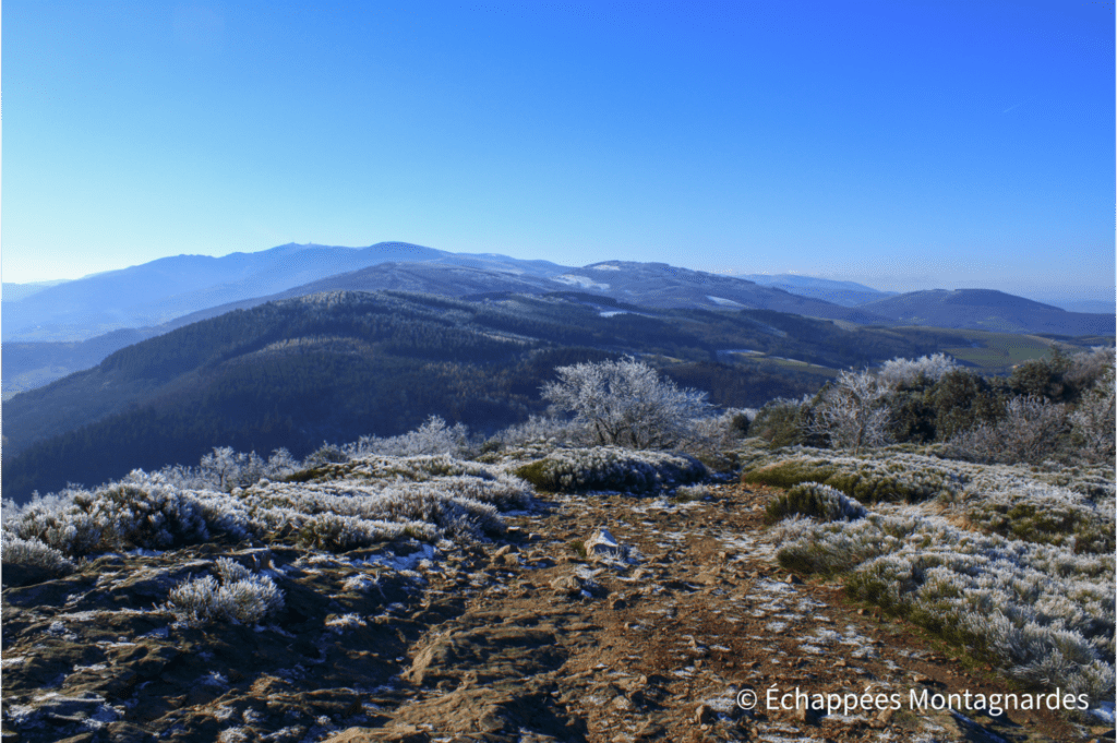 Panorama mont Monnet Pilat
