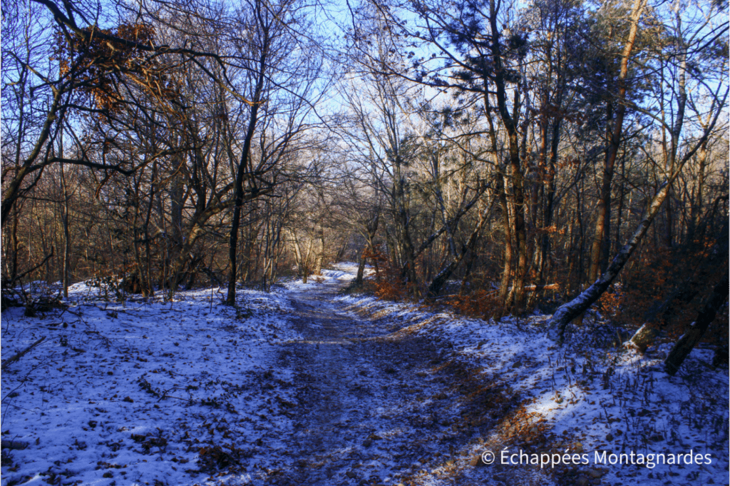 Sentier Pilat rhodanien