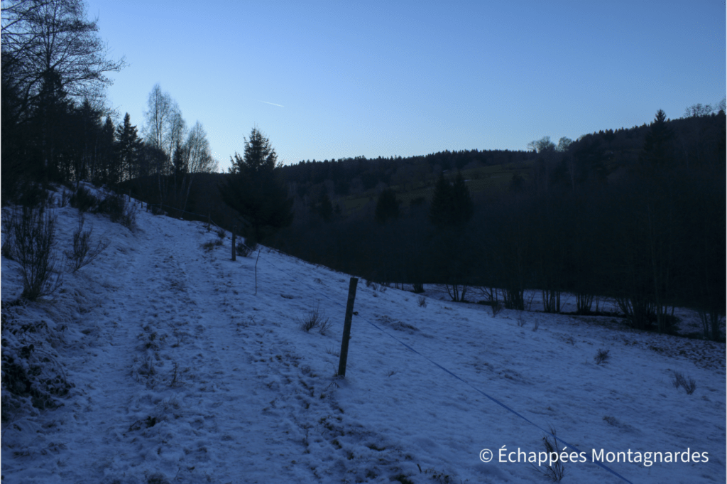 Sentier enneigé Pilat