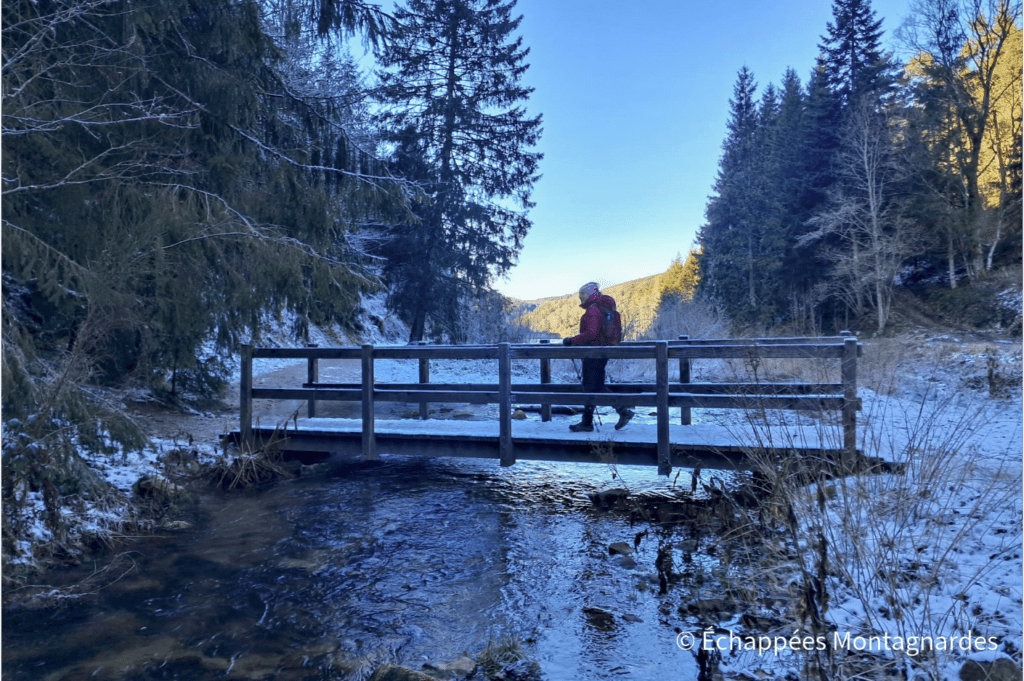 passerelle sur le Furan au pas du Riot