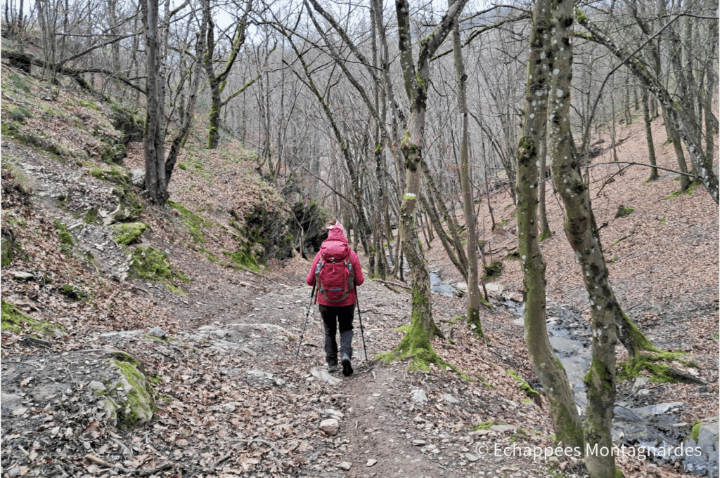 Descente vers les gorges du Couzon