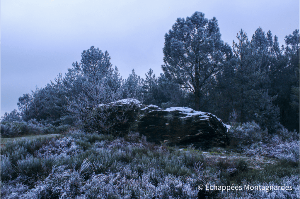 Roches de Marlin, Sainte-Croix-en-Jarez