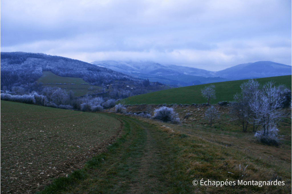 Sainte-Croix-en-Jarez randonnée croix de Marlin