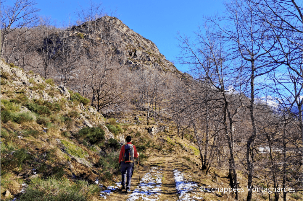 Le sentier nous fait passer un collet et nous ramène sous le Sarrat de l'Étang